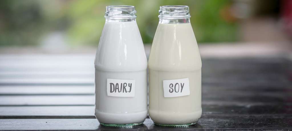 Soy Milk Vs Cow Milk Nutritional Facts And Benefits Of Soy Milk Tangolog