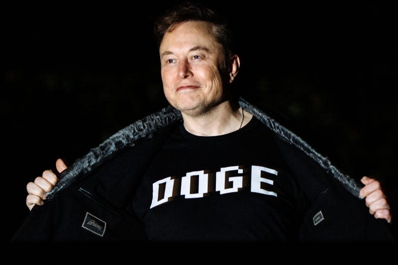 Tesla profit plunge