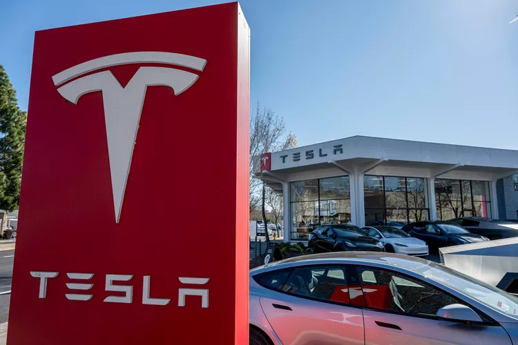 Tesla profit plunge: Elon Musk pledged to step away from DOGE