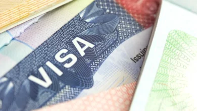 Us suspends student visa interviews