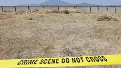 mexican cartel training camp